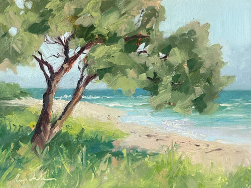 Ocean View