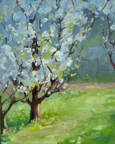 Spring in the Orchard