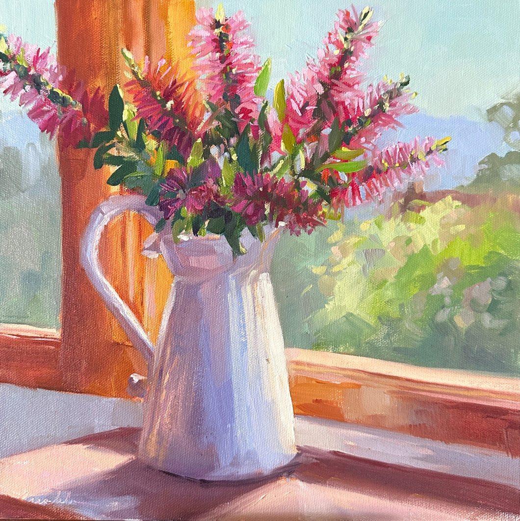 Violet Bottle Brush in the Afternoon