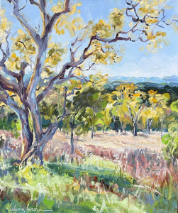 June 28/29 - Landscape Fundamentals for the Studio and En Plein Air