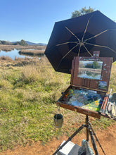 Load image into Gallery viewer, Winter at the Wetlands
