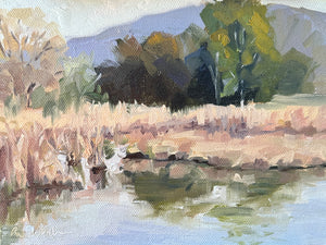 Winter at the Wetlands