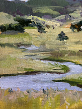 Load image into Gallery viewer, Day 15, Little Paddock Stream