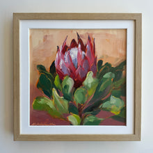Load image into Gallery viewer, Protea Study