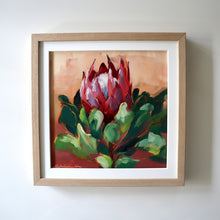 Load image into Gallery viewer, Protea Study